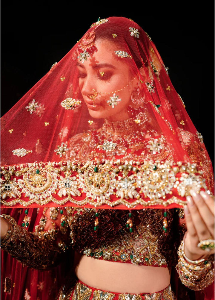 Malook By Shazia Ovais Pret Embroidered Net 3 Piece Suit MLK23B Hoor