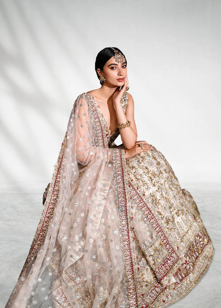 Malook By Shazia Ovais Pret Embroidered Net 3 Piece Suit MLK23B Mahgul