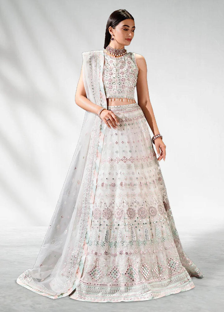 Malook By Shazia Ovais Pret Embroidered Net 3 Piece Suit MLK23B Sheesh Mahal