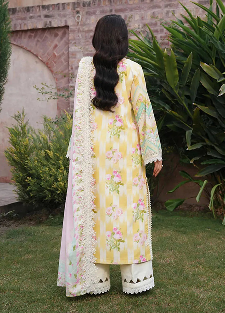 Manara Embroidered Karandi Suit Unstitched 3 Piece MVK-02 Mushk - Winter Collection