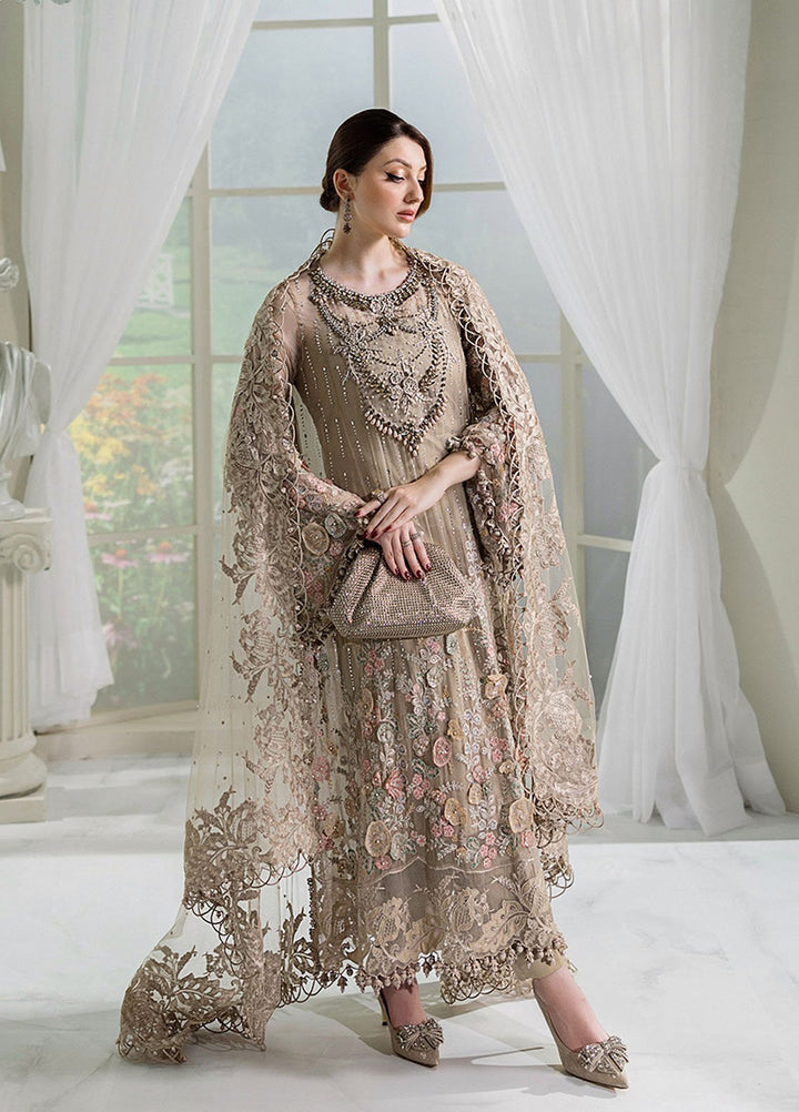Maria B Embroidered Chiffon Suits Unstitched 3 Piece MB25CU D-07 - Formals Collection