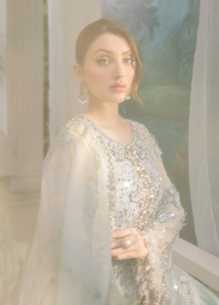 Maria B Embroidered Chiffon Suits Unstitched 3 Piece MB25CU D-07 - Formals Collection