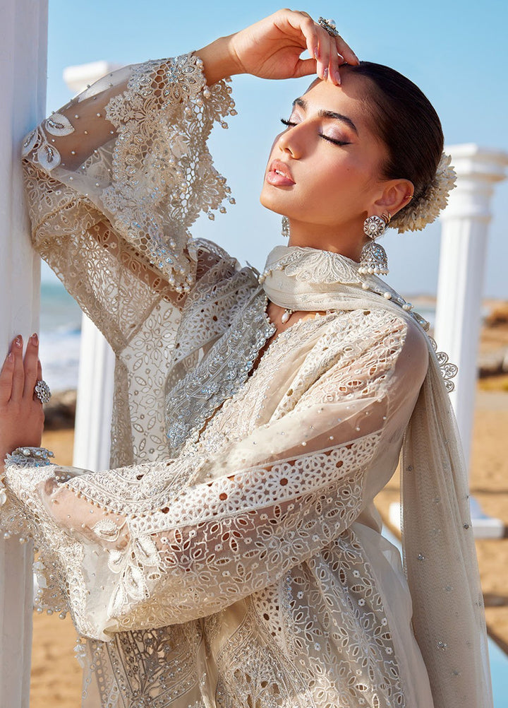 Maria B Embroidered Lawn Suits Unstitched 3 Piece MB25LL D-09 - Summer Collection