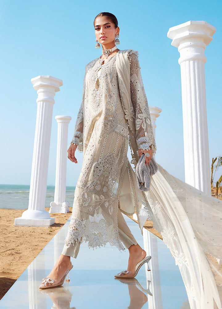 Maria B Embroidered Lawn Suits Unstitched 3 Piece MB25LL D-09 - Summer Collection