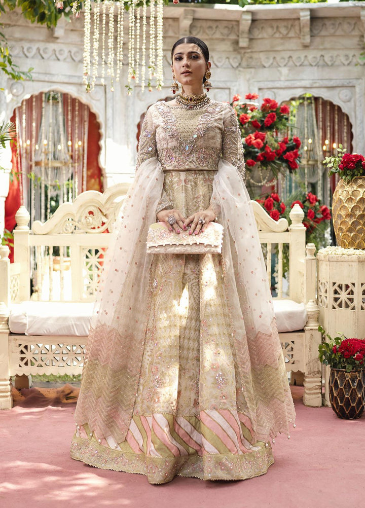 Qabool Hai by Maria Osama Khan Embroidered Organza Suits Unstitched 3 Piece MOK22QW SAMAR - Luxury Wedding Collection