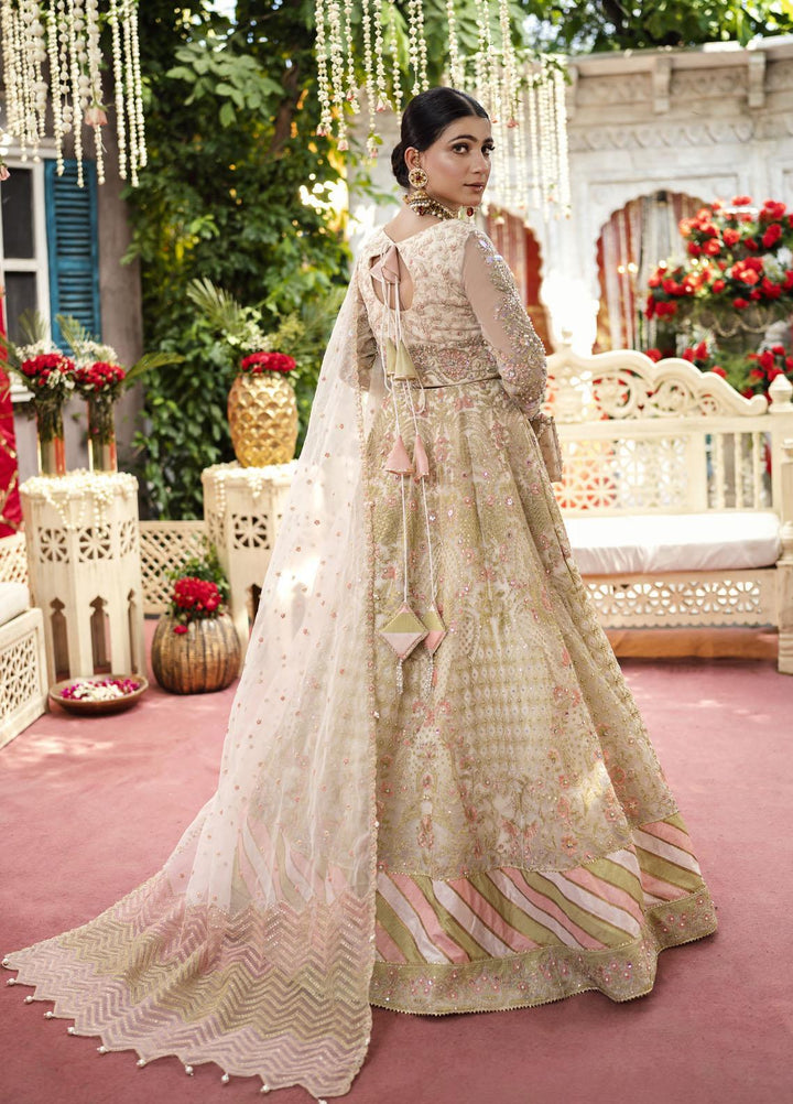 Qabool Hai by Maria Osama Khan Embroidered Organza Suits Unstitched 3 Piece MOK22QW SAMAR - Luxury Wedding Collection