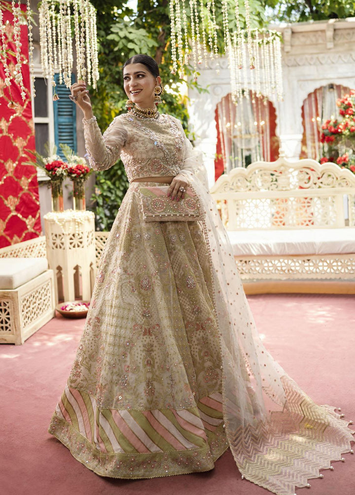 Qabool Hai by Maria Osama Khan Embroidered Organza Suits Unstitched 3 Piece MOK22QW SAMAR - Luxury Wedding Collection
