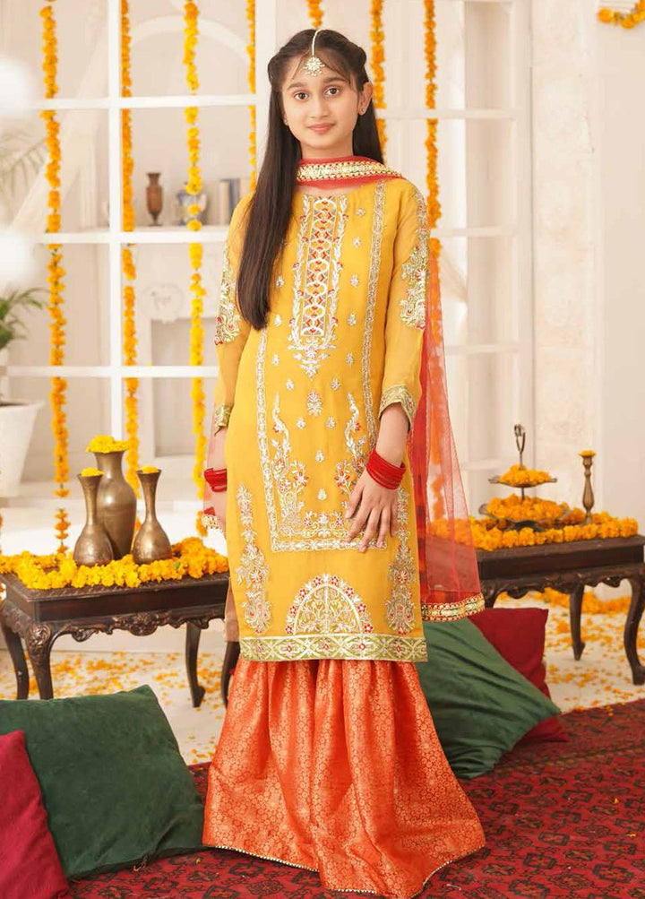 Maryum N Maria Chiffon Embroidered 3 Piece Suit for Girls - MNM21K MKD 13