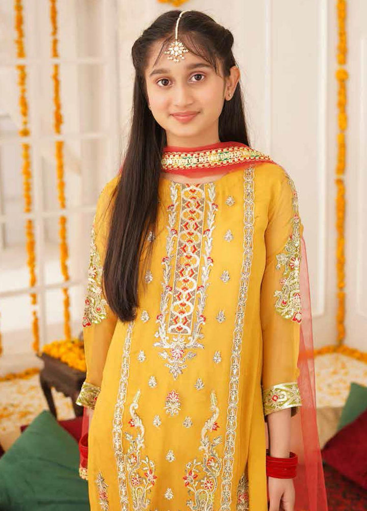 Maryum N Maria Chiffon Embroidered 3 Piece Suit for Girls - MNM21K MKD 13