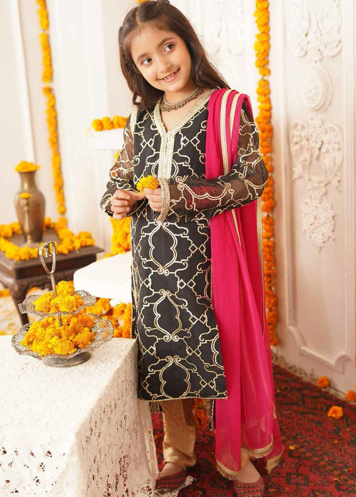 Maryum N Maria Organza Embroidered Girls 3 Piece Suit - MNM21K MKD 20