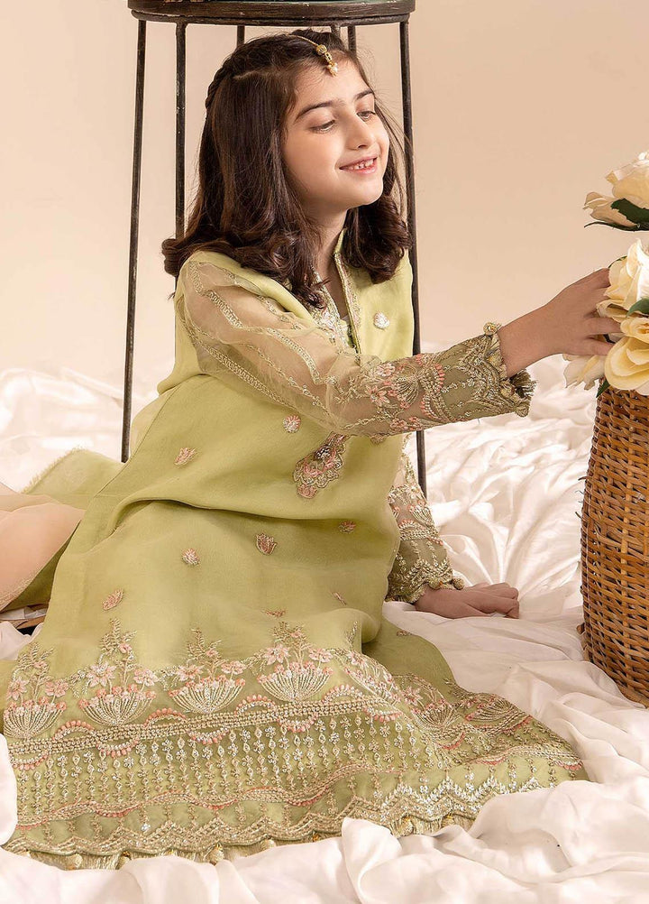 Maryum N Maria Organza Festive Pret 3 Piece Dress for Girls -  MNM23LDL MKD0035