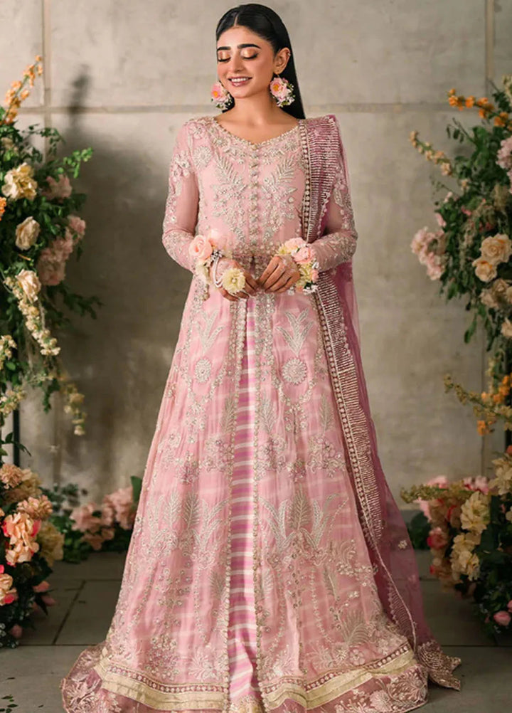 Mastani by Mushq Embroidered Chiffon Suits Unstitched 4 Piece MQ24MT MCH-03 Maisha - Luxury Collection