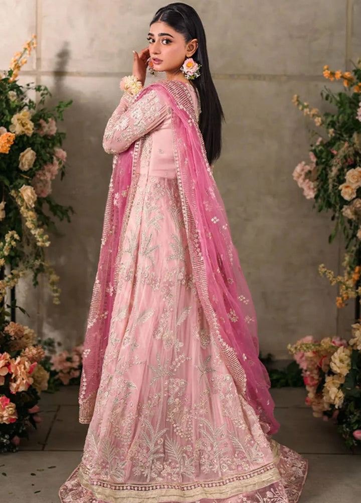 Mastani by Mushq Embroidered Chiffon Suits Unstitched 4 Piece MQ24MT MCH-03 Maisha - Luxury Collection