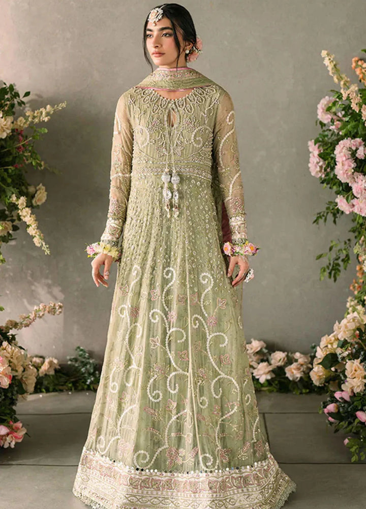 Mastani by Mushq Embroidered Chiffon Suits Unstitched 4 Piece MQ24MT MCH-10 Namar - Luxury Collection