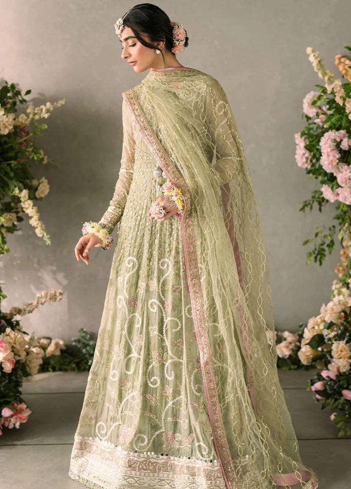 Mastani by Mushq Embroidered Chiffon Suits Unstitched 4 Piece MQ24MT MCH-10 Namar - Luxury Collection