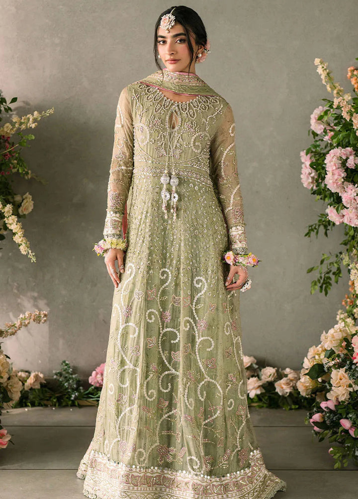 Mastani by Mushq Embroidered Chiffon Suits Unstitched 4 Piece MQ24MT MCH-10 Namar - Luxury Collection