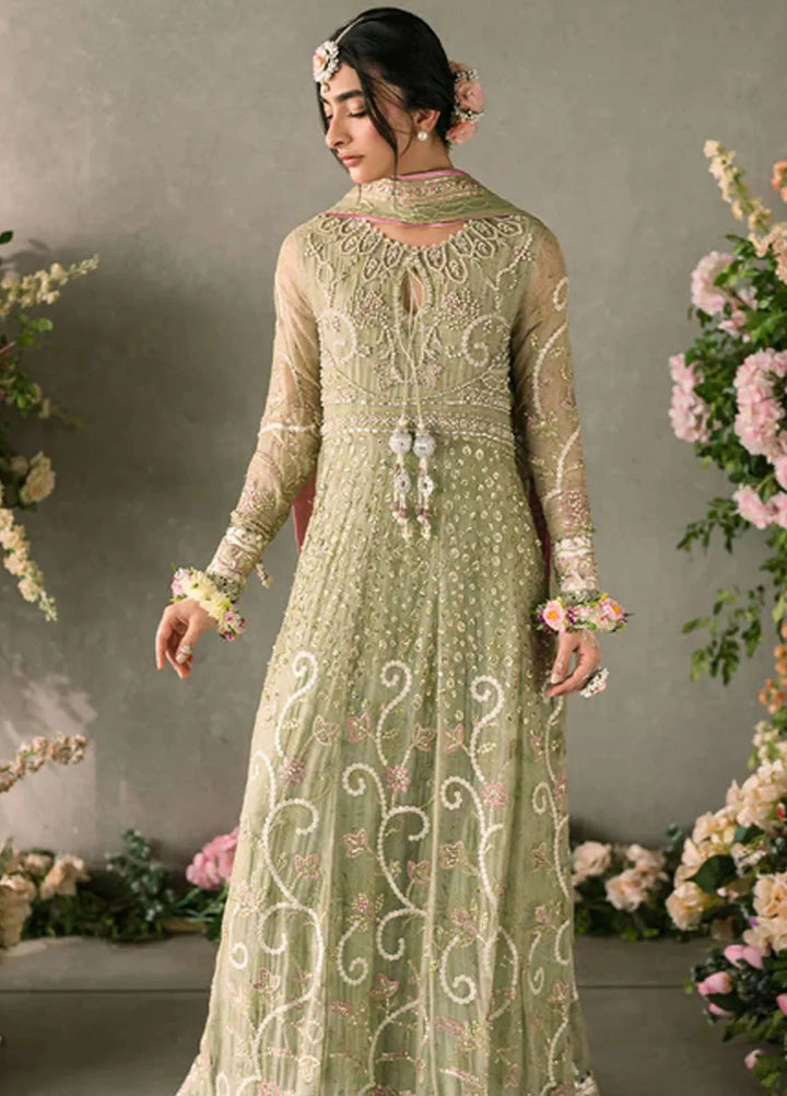 Mastani by Mushq Embroidered Chiffon Suits Unstitched 4 Piece MQ24MT MCH-10 Namar - Luxury Collection