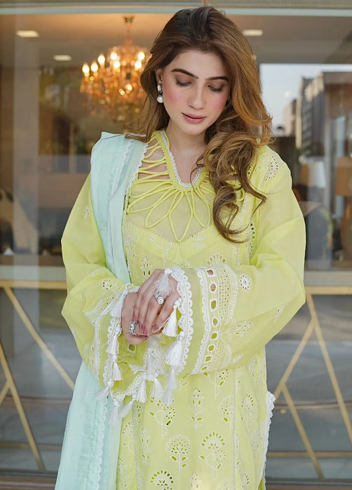Maya By Faixa Faixal Embroidered Schiffli Suit Unstitched 3 Piece FFX24M Derya - Summer Collection