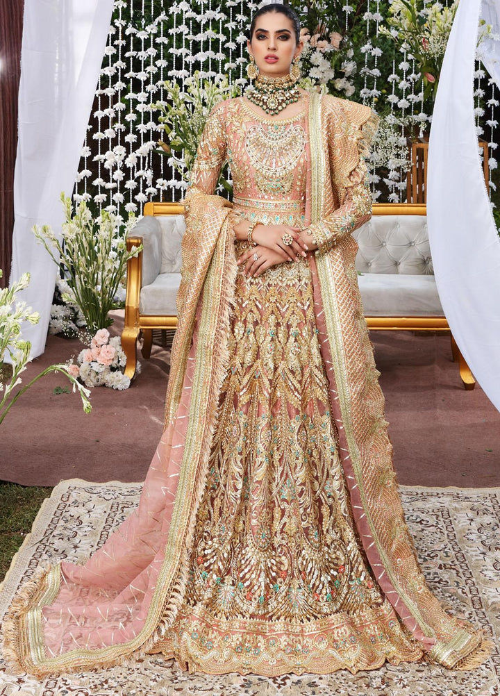 Maryum N Maria Embroidered Net Suits Unstitched 3 Piece MNM21B MBM-0014 Vogue Marvel - Bridal Collection