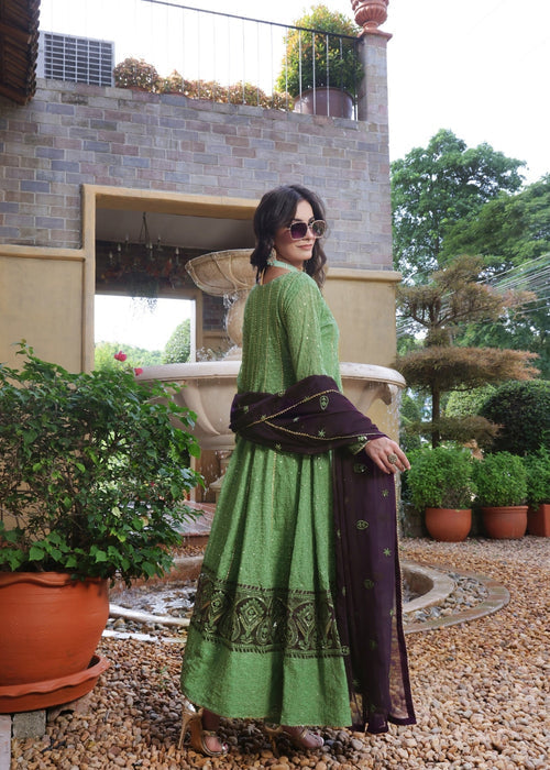 Zardozi Dreams by Abaan Zohan RTW Embroidered chiffon 3 Piece Suit Raqs Pistachio Green - Festive Collection