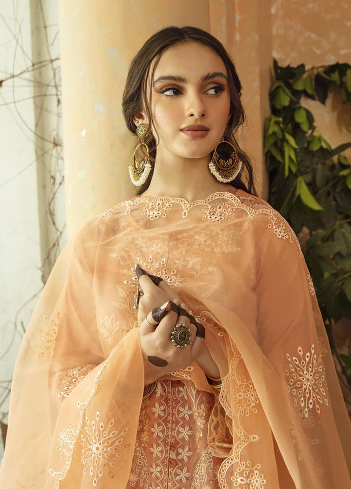Meena Kumari By Aabyaan Embroidered Chikankari Lawn Suits Unstitched 3 Piece ABY23MK AB-01 Jahan Ara - Eid Collection