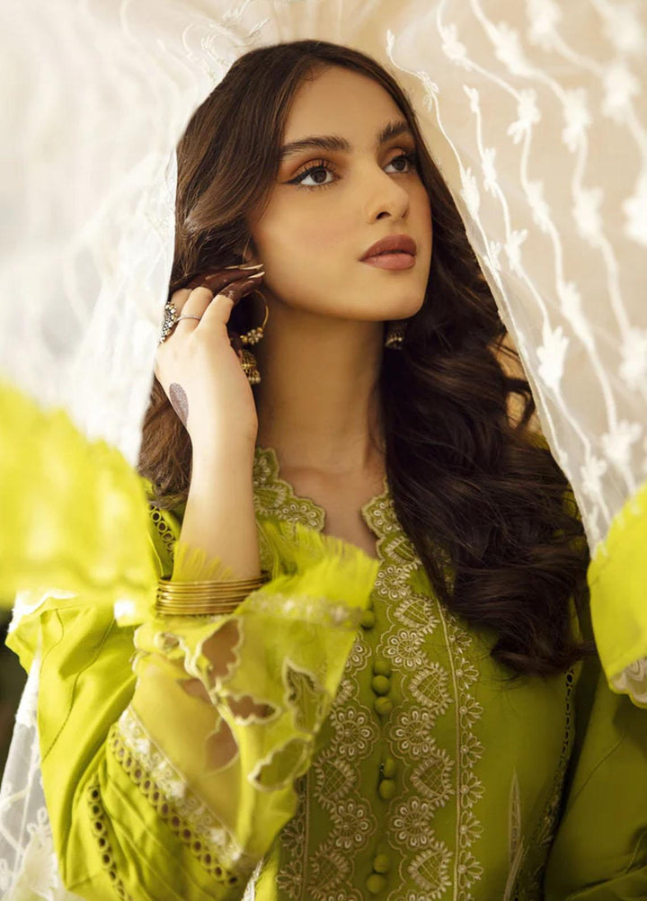 Meena Kumari By Aabyaan Embroidered Chikankari Lawn Suits Unstitched 3 Piece ABY23MK AB-03 Shamah - Eid Collection