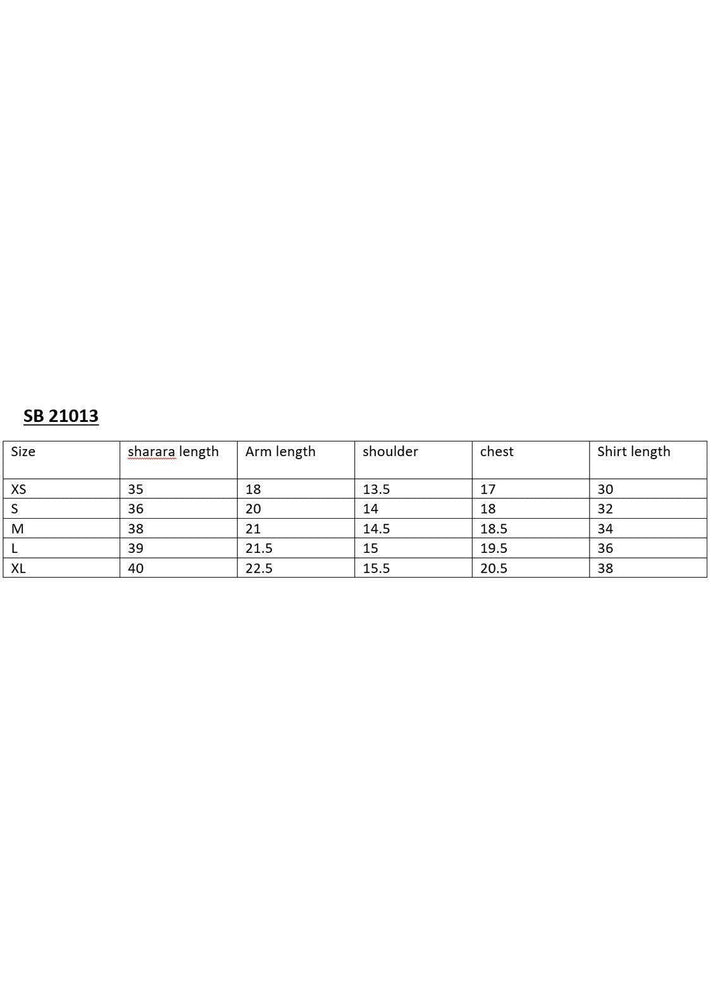 Meerab Shahid Pret  Net 2 Piece MS22PSH SB 21013