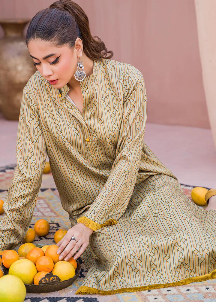 Meerak Printed Linen Suits Unstitched 2 Piece MRK23CW Verve - Winter Collection