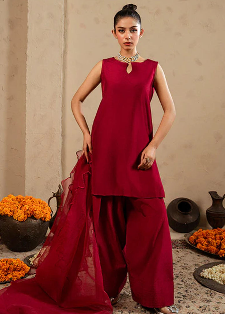 Meeral Pret Plain Raw Silk 2 Piece Suit SOL-003-V2