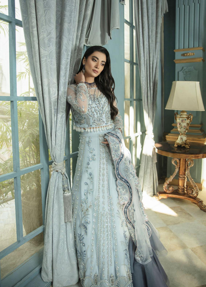 Serene by Mehak Yaqoob Embroidered Net Suits Unstitched 3 Piece MY22SW 04-Davina - Wedding Collection