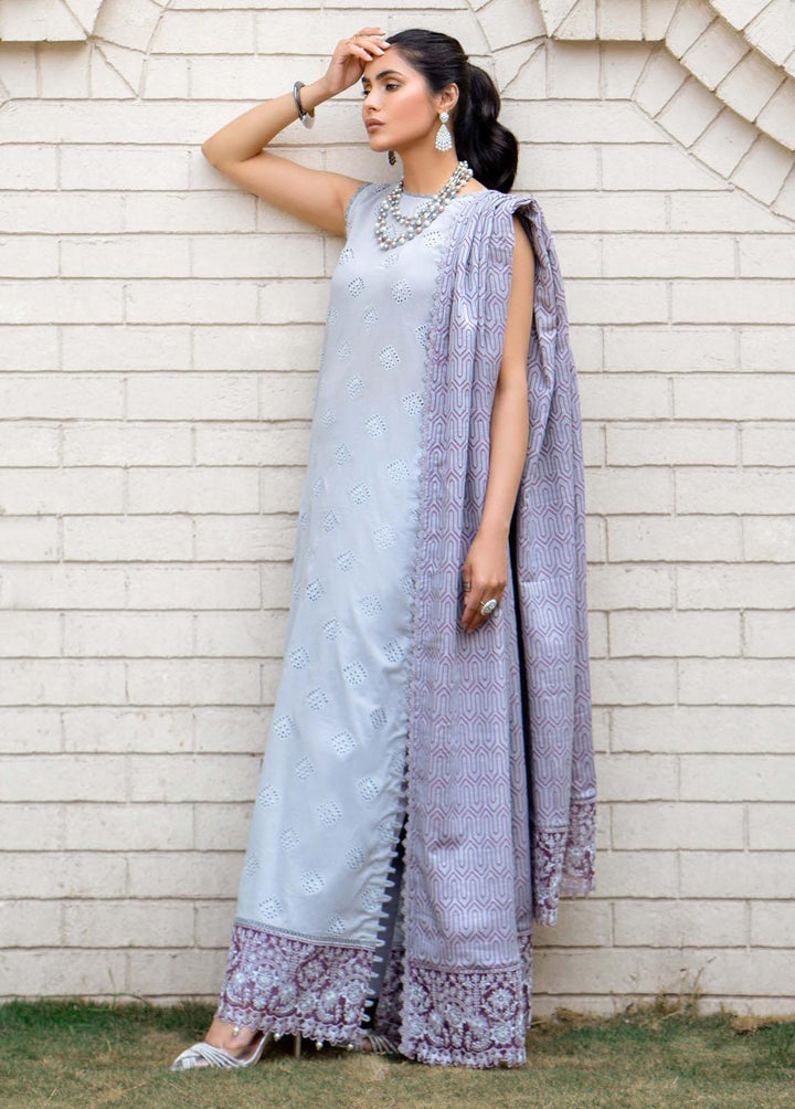 Mehar By Humdum Embroidered Lawn Suits Unstitched 3 Piece HD23ML 10 - Luxury Collection