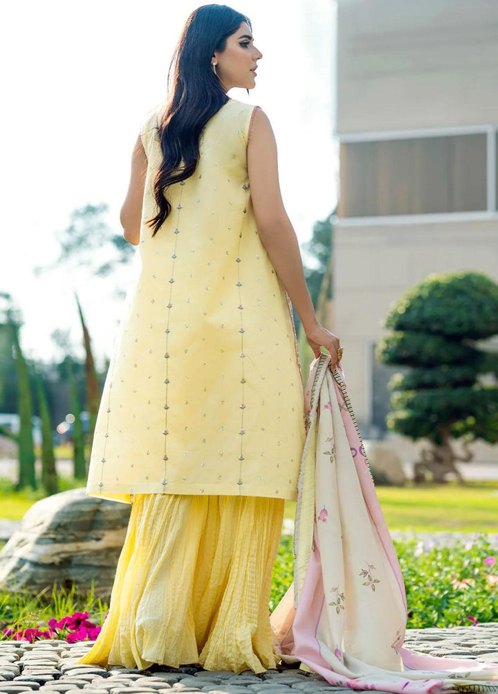 Mehr O Mah By Bin Ilyas Embroidered Lawn Suits Unstitched 3 Piece BI23MM 1812-B - Summer Collection