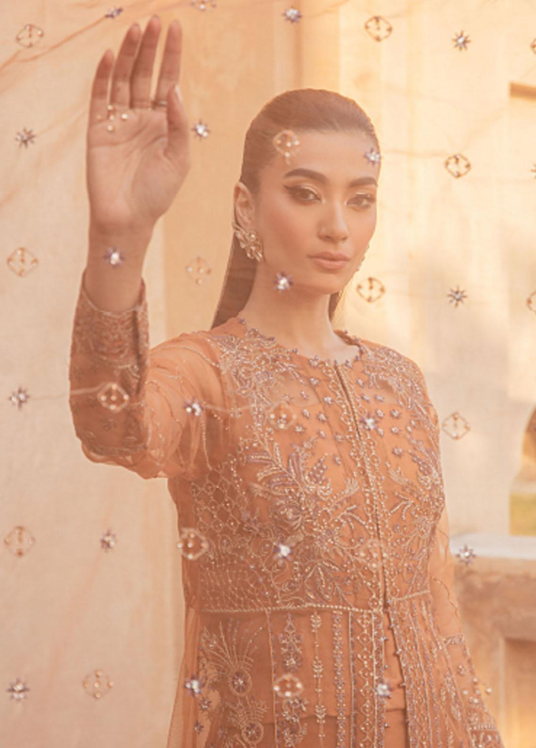 Mehr-un-Nissa By Florent Embroidered Net Suits Unstitched 4 Piece FL23MN FL-5 - Wedding Collection