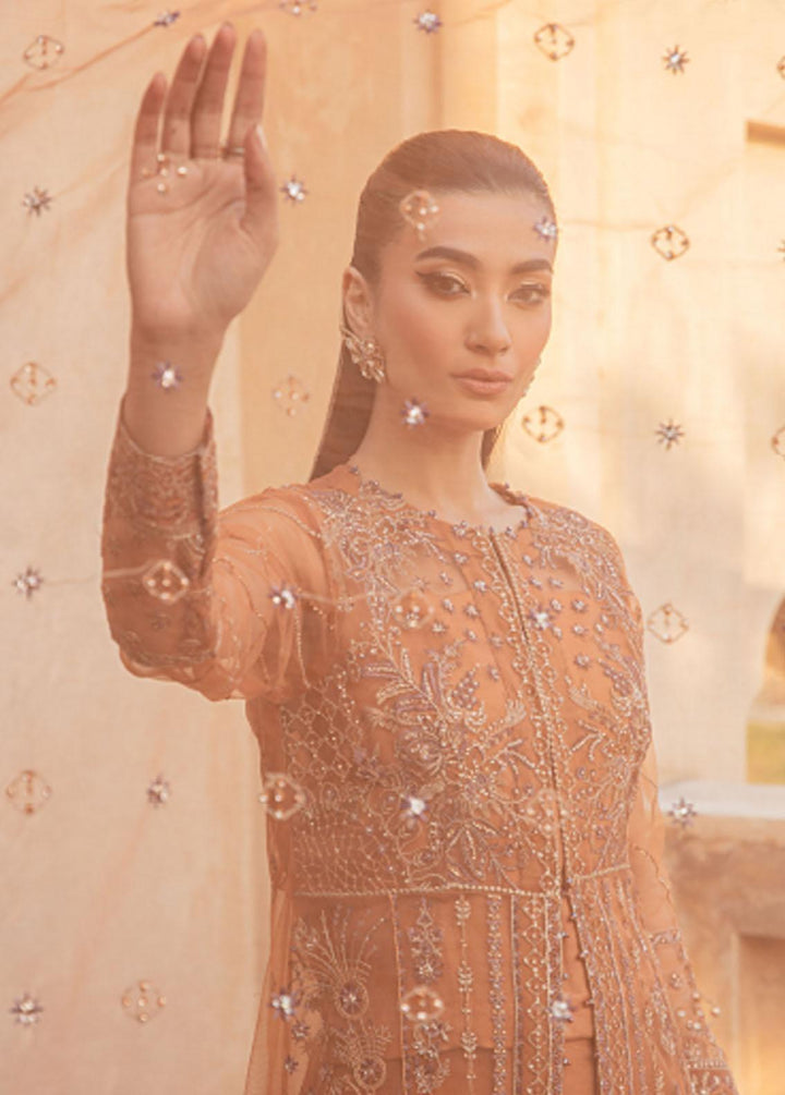 Mehr-un-Nissa By Florent Embroidered Net Suits Unstitched 4 Piece FL23MN FL-5 - Wedding Collection