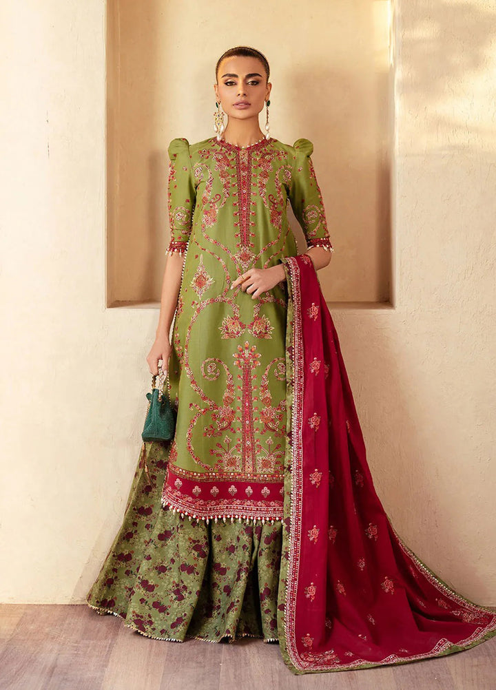 Mehroze by Bin Ilyas Embroidered Lawn Suit Unstitched 3 Piece BI25MS 93 B - Summer Collection