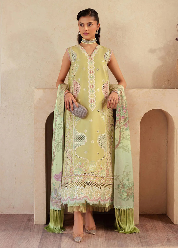 Mehroze by Bin Ilyas Embroidered Lawn Suit Unstitched 3 Piece BI25MS 94 B - Summer Collection