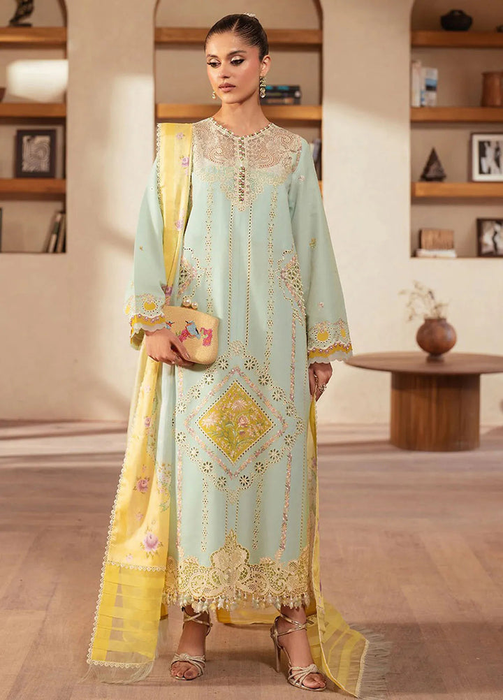 Mehroze by Bin Ilyas Embroidered Lawn Suit Unstitched 3 Piece BI25MS 96 B - Summer Collection