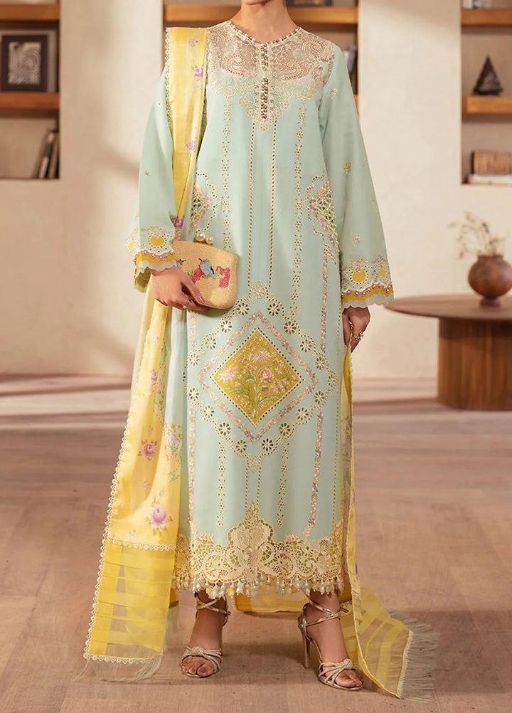 Mehroze by Bin Ilyas Embroidered Lawn Suit Unstitched 3 Piece BI25MS 96 B - Summer Collection