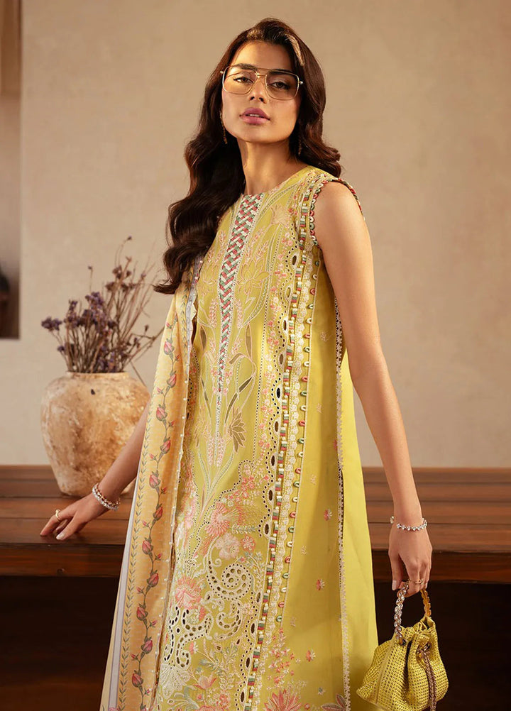 Mehroze by Bin Ilyas Embroidered Lawn Suit Unstitched 3 Piece BI25MS 97 B - Summer Collection