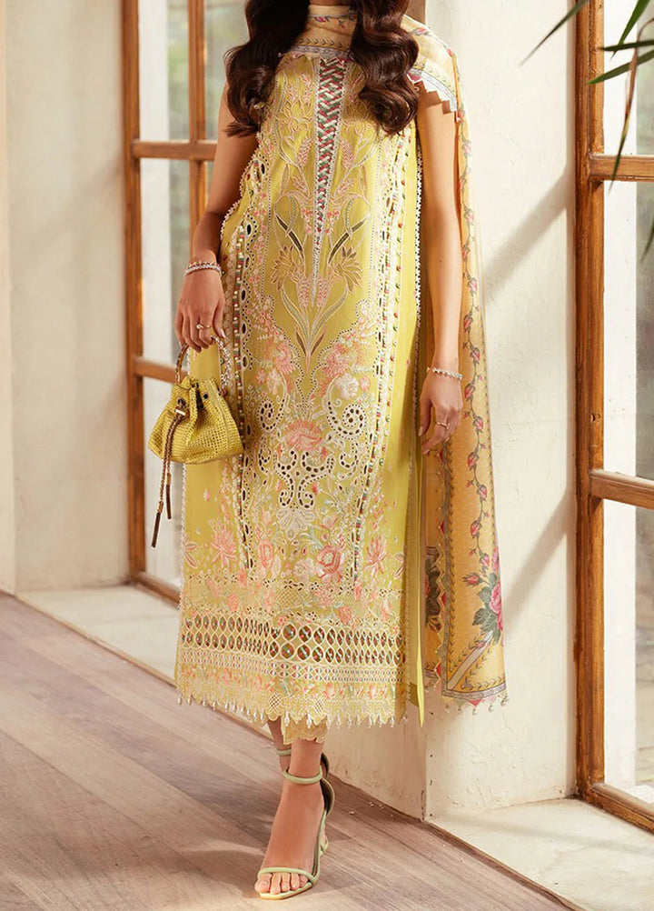 Mehroze by Bin Ilyas Embroidered Lawn Suit Unstitched 3 Piece BI25MS 97 B - Summer Collection