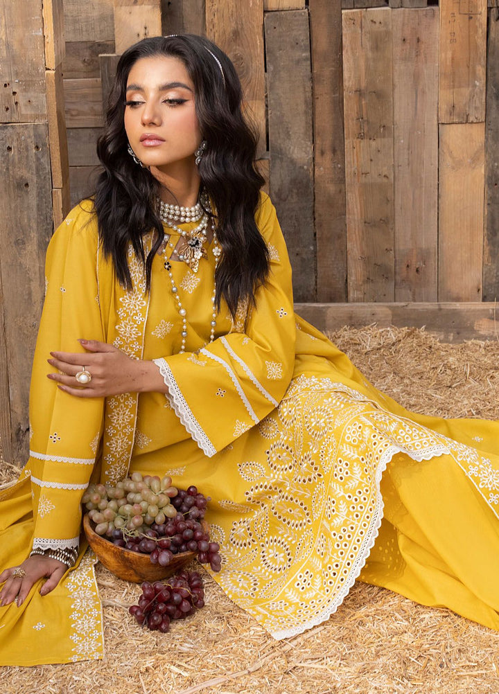 Mehru By Mahnur Embroidered Lawn Suits Unstitched 3 Piece MN24MR D-04 - Summer Collection