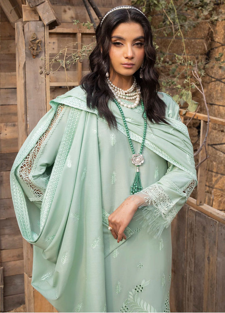 Mehru By Mahnur Embroidered Lawn Suits Unstitched 3 Piece MN24MR D-06 - Summer Collection