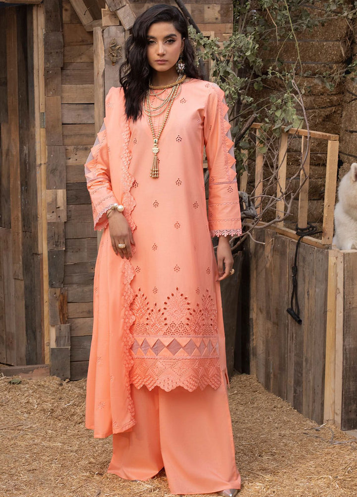 Mehru By Mahnur Embroidered Lawn Suits Unstitched 3 Piece MN24MR D-07 - Summer Collection