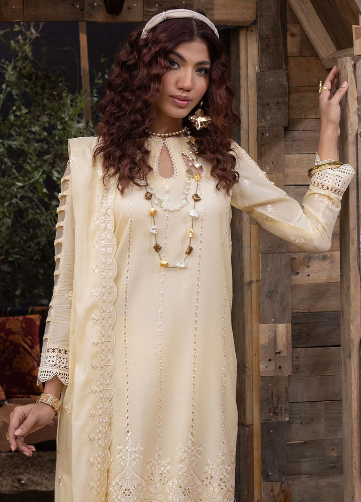 Mehru By Mahnur Embroidered Lawn Suits Unstitched 3 Piece MN24MR D-08 - Summer Collection