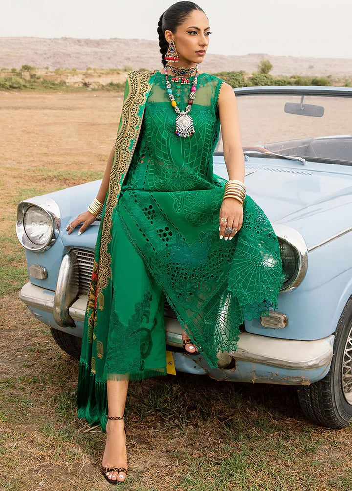Mem Saab By Bin Ilyas Embroidered Lawn Suits Unstitched 3 Piece BI23MS 715-A - Luxury Collection