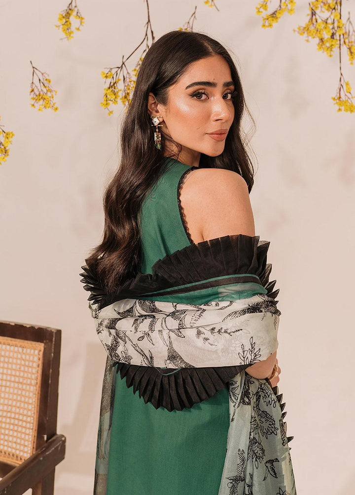 Meraki by Asifa & Nabeel Embroidered Lawn Suits Unstitched 3 Piece AN23M MKL-13 - Summer Collection