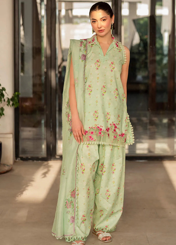 Meraki By Asifa and Nabeel Embroidered Lawn Suits Unstitched 3 Piece AN24M2 MK-11 Gul-e-Rana - Summer Collection