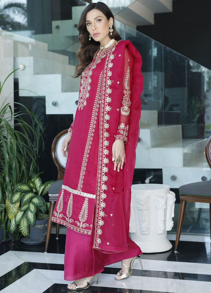 Merakish By Shahzeb Textile Embroidered Net Suit Unstitched 3 Piece MT24ME Magenta - Luxury Eid Collection