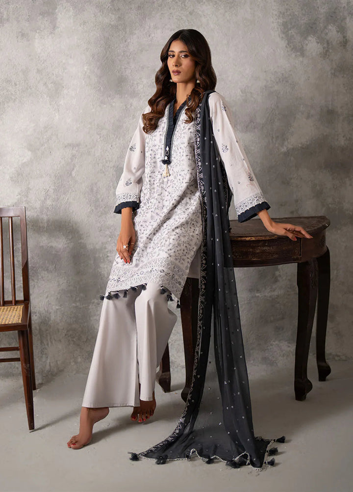 Mina Jan by Salitex Embroidered Lawn Suits Unstitched 3 Piece SUNS24MI062UT - Summer Collection