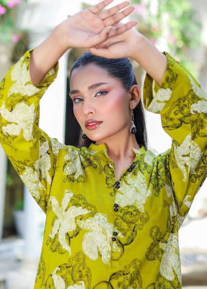 Minahil Printed Lawn Suits Unstitched 2 Piece MC-L-0227 - Summer Collection